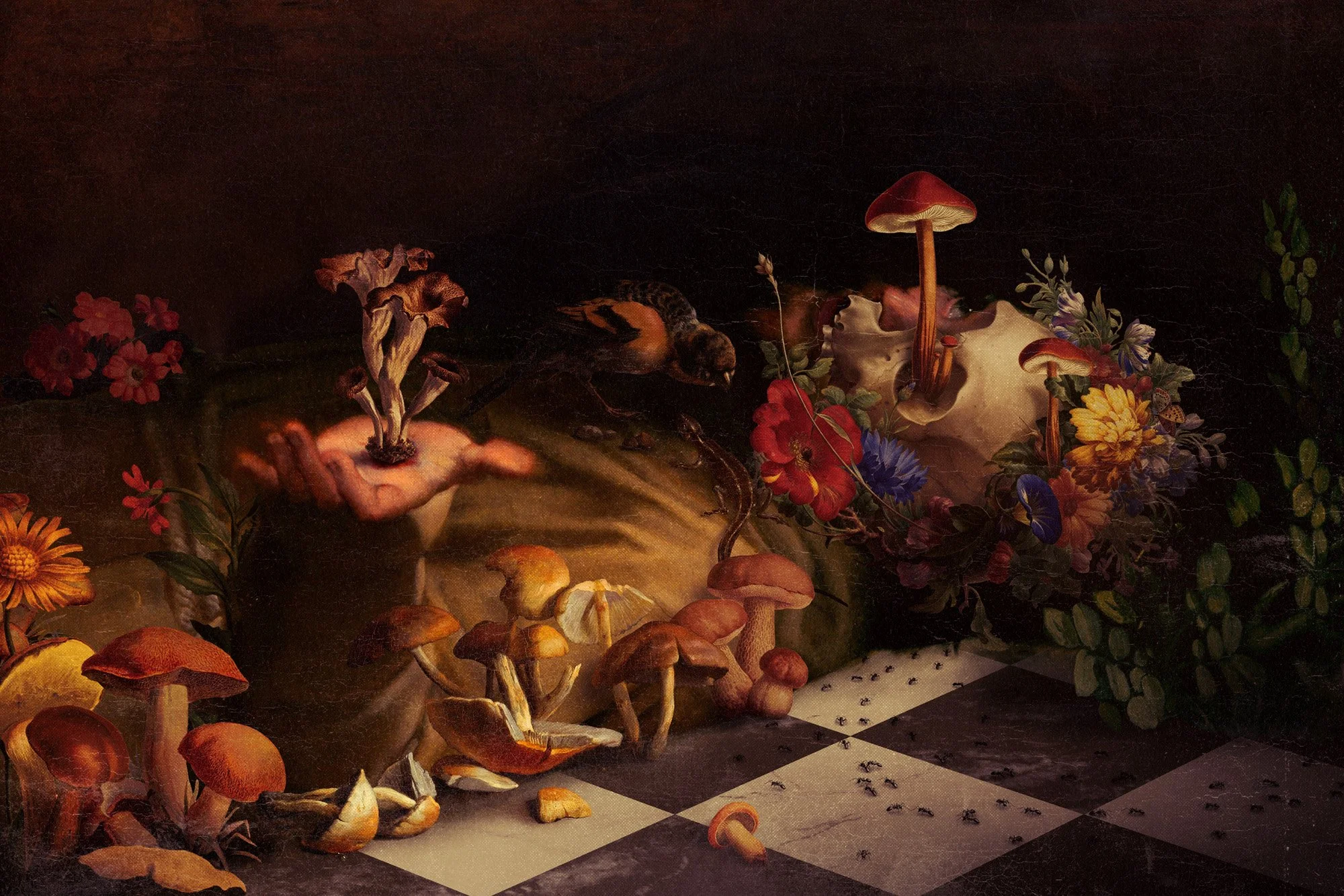 Vanitas — mendezmendez